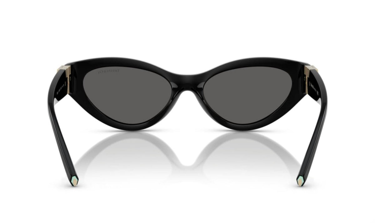Women's Tf 4225U Sunglasses In Dark Grey