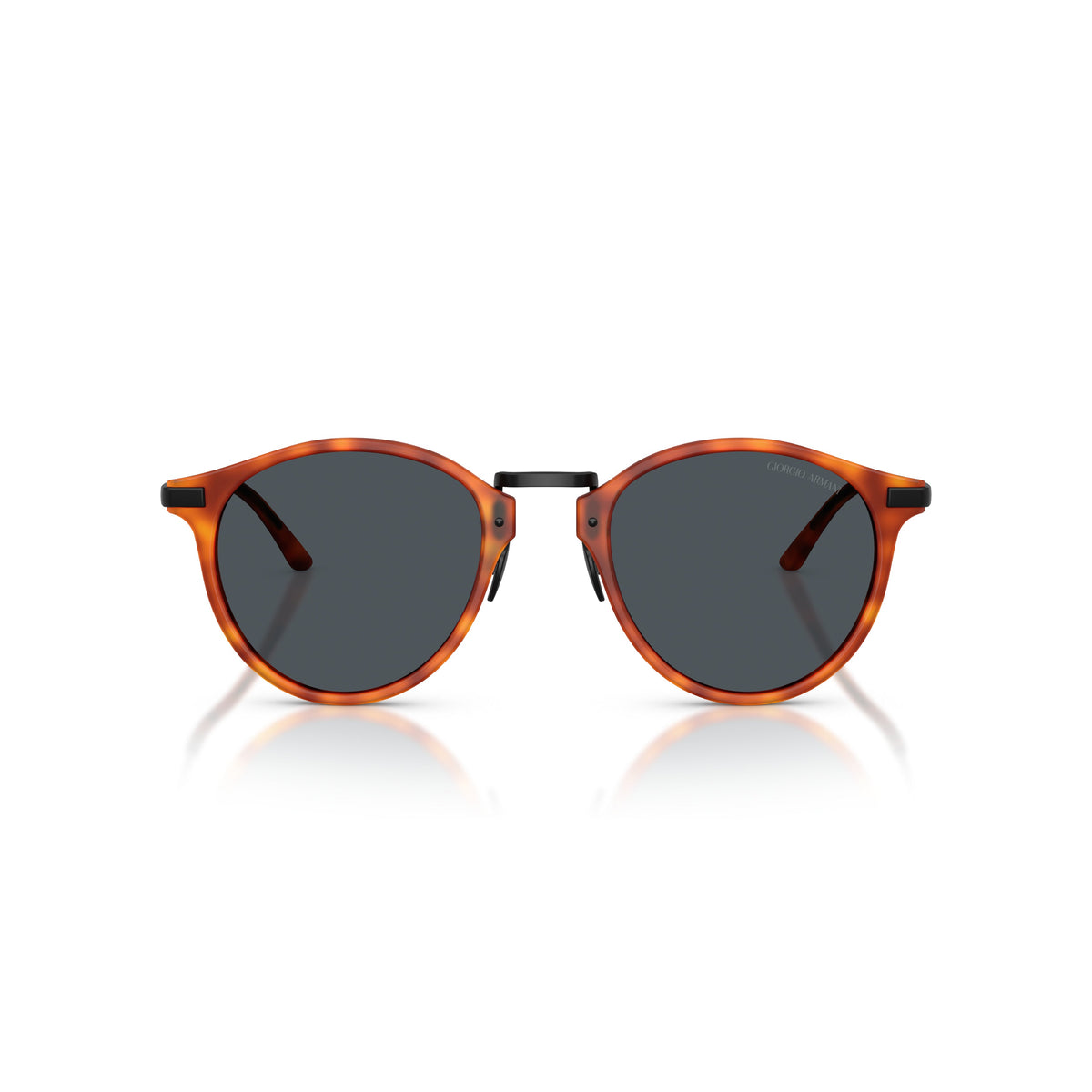 0Ar8250 Tortoiseshell Acetate Sunglasses