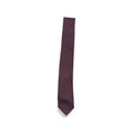 Ferragamo Blue Ties & Bow Ties Men