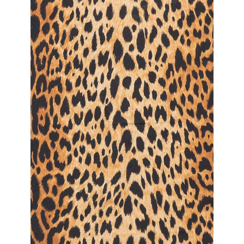 Gucci Neutrals Scarves Women