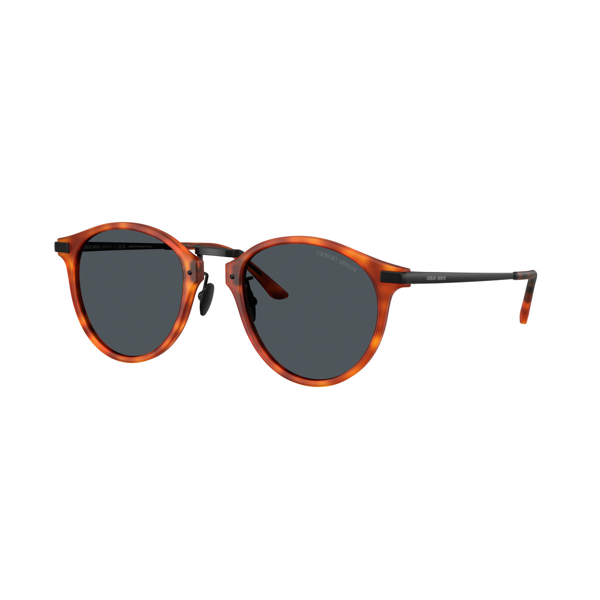 0Ar8250 Tortoiseshell Acetate Sunglasses