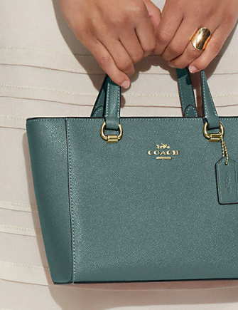 Coach Alice Satchel
