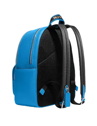Coach Court Backpack In Signature Canvas