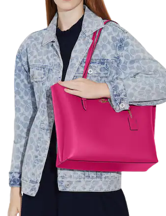 Coach Mollie Tote