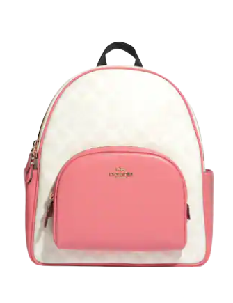 Coach Court Backpack In Signature Canvas