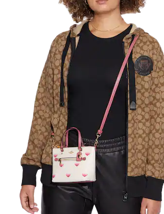 Coach Mini Gallery Crossbody With Stripe Heart Print