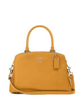 Coach Mini Lillie Carryall