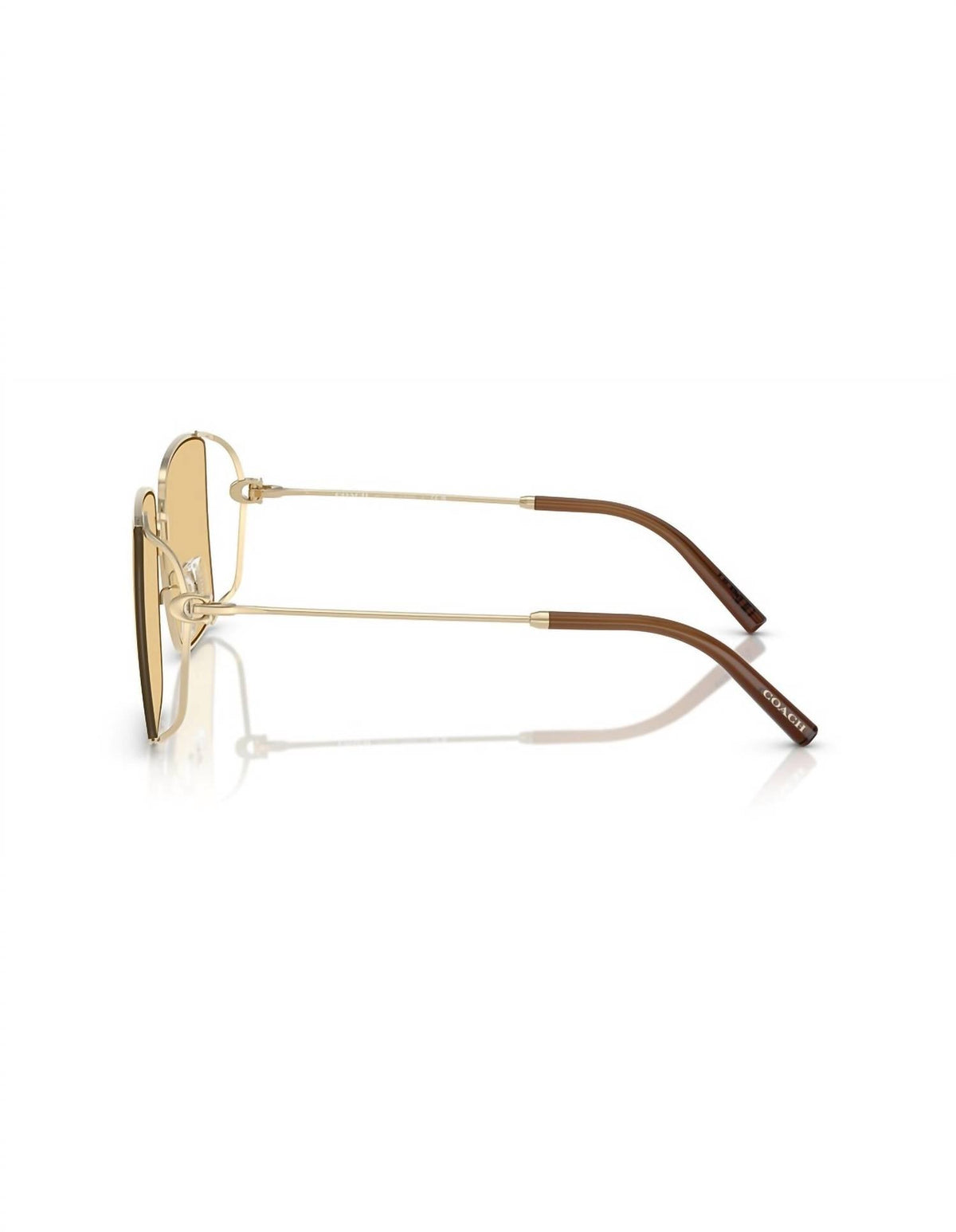 Women's Hc 7174D Sunglasses In Light Gold