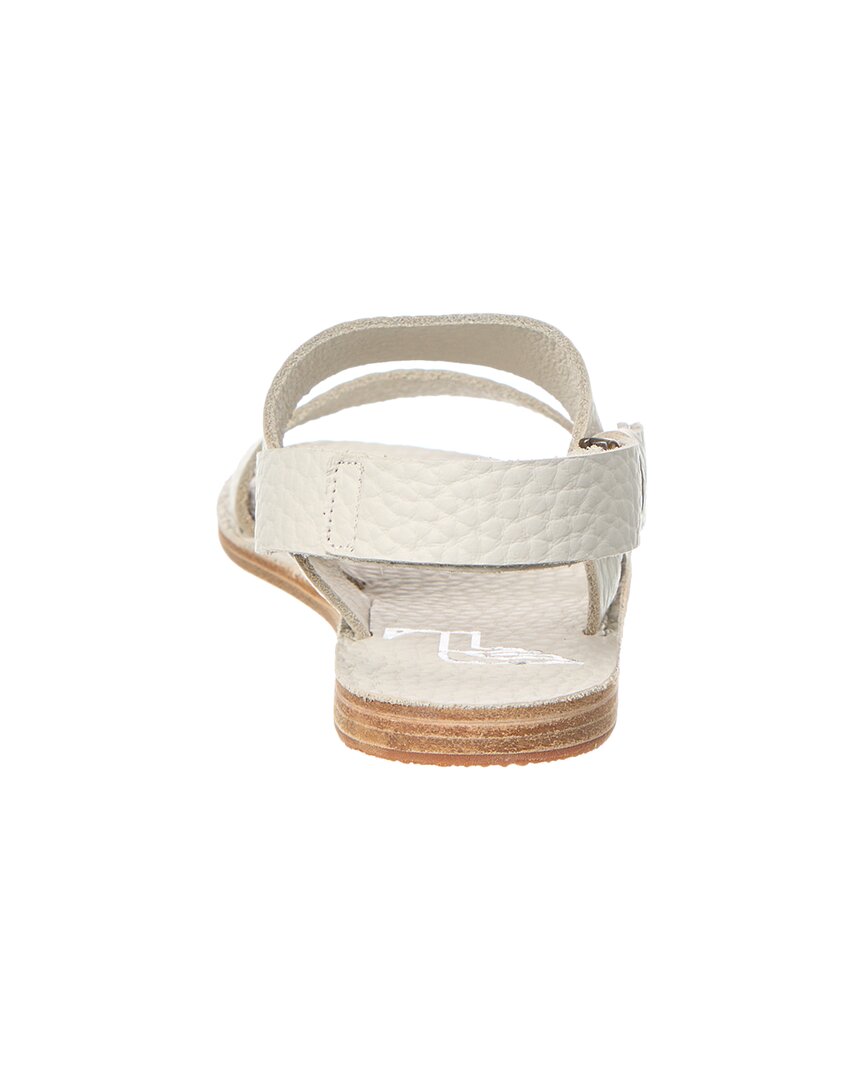 Ancient Greek Sandals Cecil F Sandal